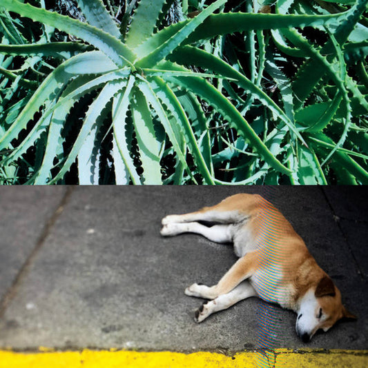 Steve Bates (2) - All The Things That Happen (LP)