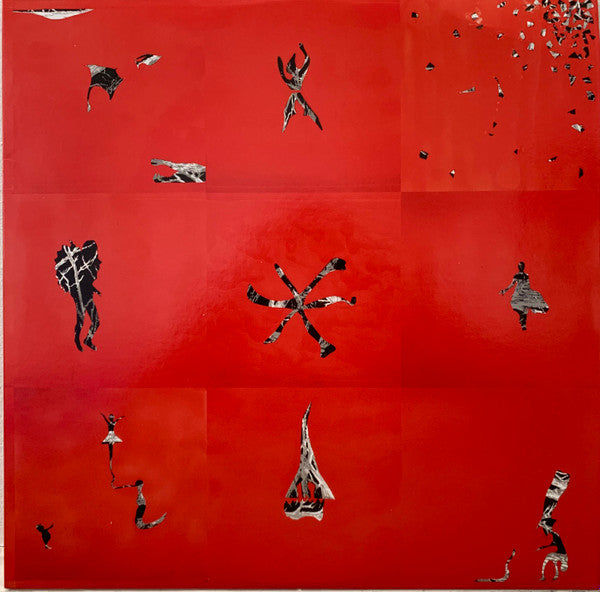 Animal Collective - Hollinndagain (LP, Album, RE)