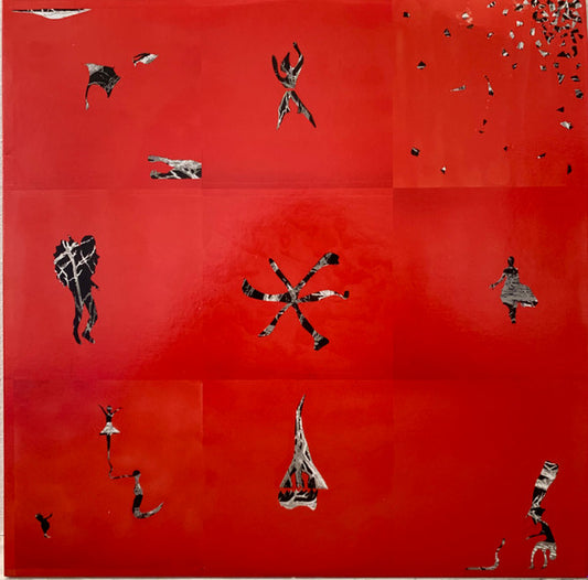 Animal Collective - Hollinndagain (LP, Album, RE)