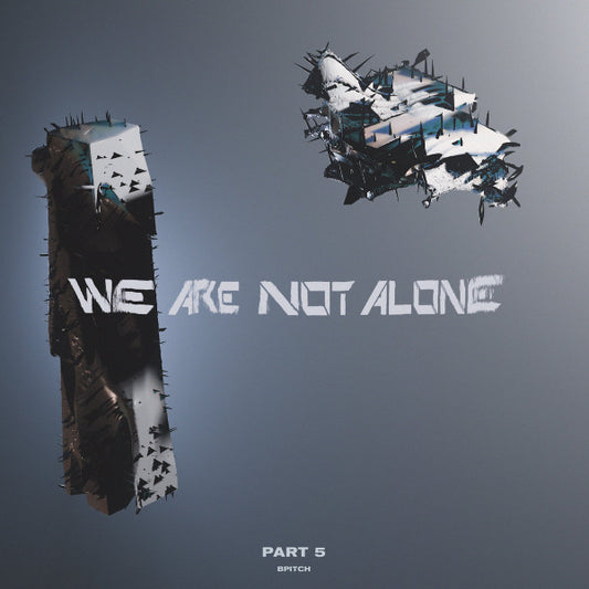 Various - We Are Not Alone Part 5 (2x12", Comp)