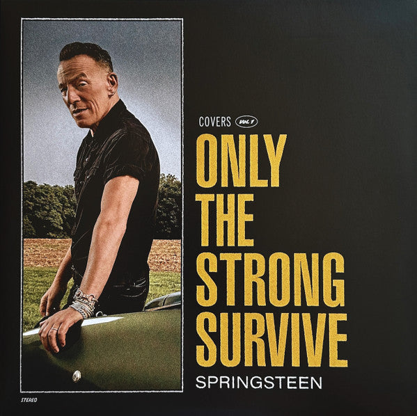 Springsteen* - Only The Strong Survive (Covers Vol. 1) (LP + LP, S/Sided, Etch + Album, Ltd, Ora)