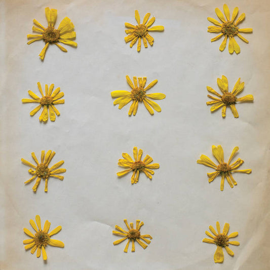 The Molochs - Flowers In The Spring (CD, Album)