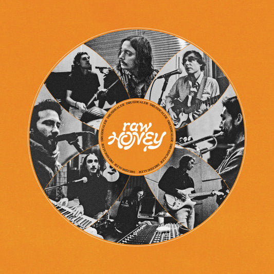 Drugdealer - Raw Honey (CD, Album, Dig)