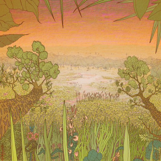 Pine Barons (2) - Mirage On The Meadow (LP, Album)