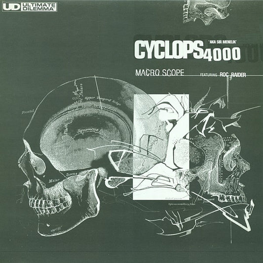 Cyclops 4000 aka Sir Menelik - Macroscope (12")