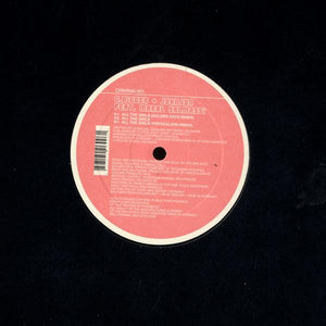G. Digger + Johnjon Featuring Maral Salmassi - All The Girls (12")