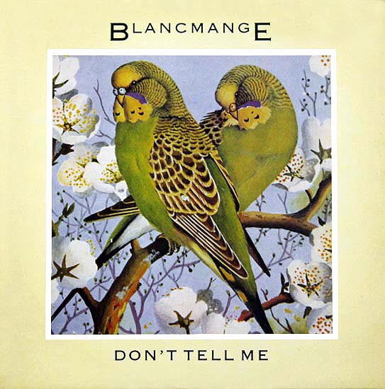 Blancmange - Don't Tell Me (12