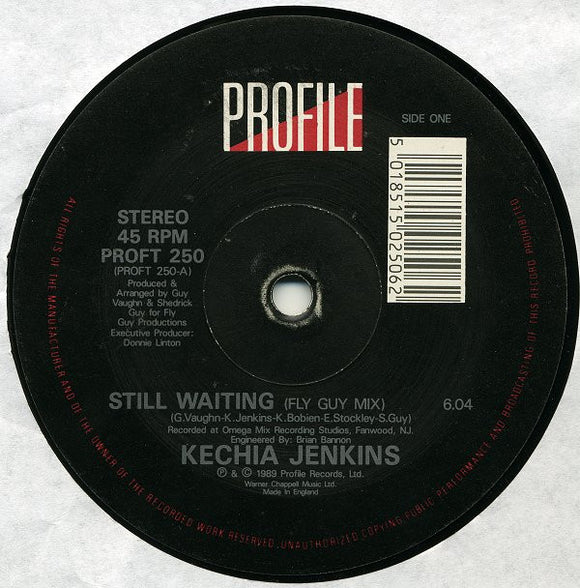 Kechia Jenkins - Still Waiting (12