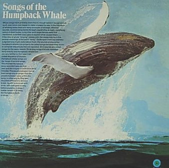 Humpback Whale - Songs Of The Humpback Whale (LP, Album, RE, Pur)