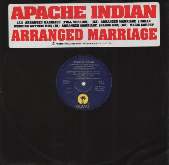 Apache Indian - Arranged Marriage (12