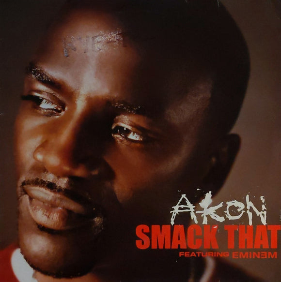 Akon Featuring Eminem - Smack That (12