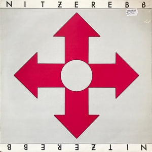 Nitzer Ebb - Isnt It Funny How Your Body Works (12", Single, RP)