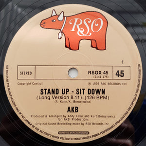 AKB - Stand Up - Sit Down (12")