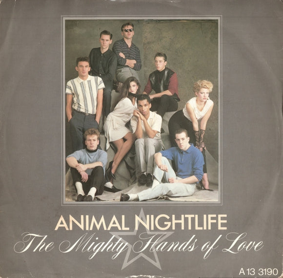 Animal Nightlife - The Mighty Hands Of Love (12