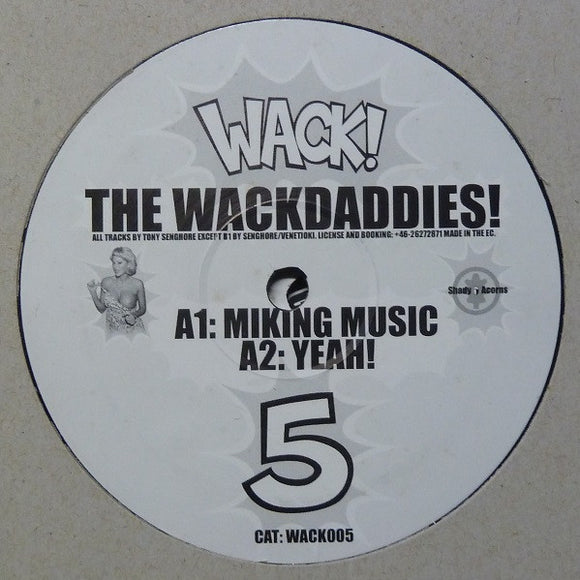 The Wackdaddies - Miking Music (12