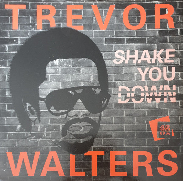 Trevor Walters - Shake You Down (12", Single)