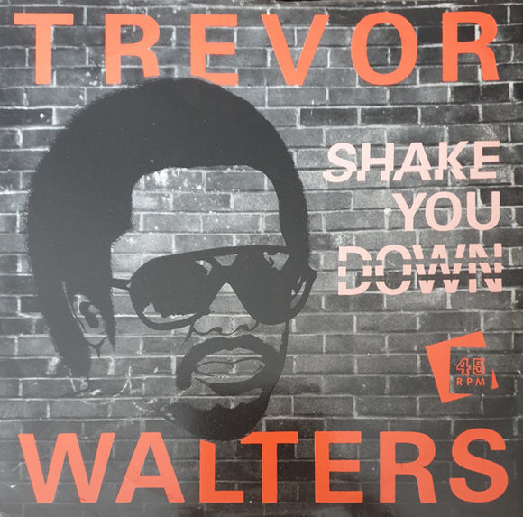 Trevor Walters - Shake You Down (12