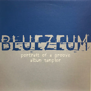 Bluezeum - Portrait Of A Groove Album Sampler (12", EP, Promo)