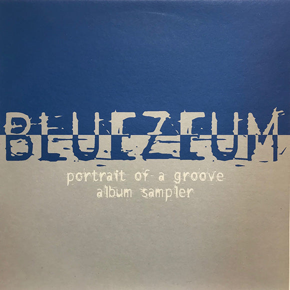 Bluezeum - Portrait Of A Groove Album Sampler (12