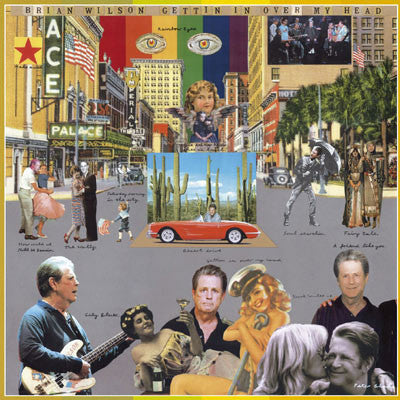 Brian Wilson - Gettin' In Over My Head (CD, Album)