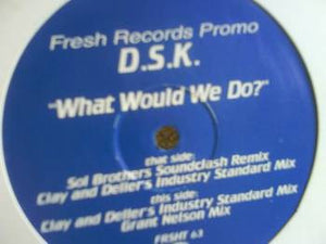 DSK - What Would We Do? (12", Promo)