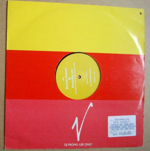 Scritti Politti And Sweetie Irie - Take Me In Your Arms And Love Me (12", Promo)