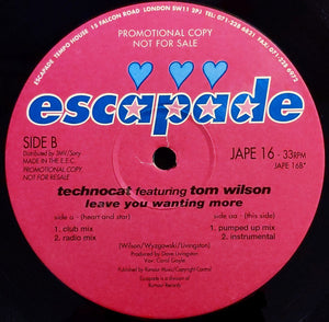Technocat Featuring Tom Wilson - Leave You Wanting More (12", Promo)