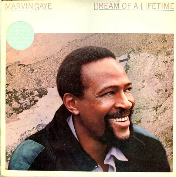 Marvin Gaye - Dream Of A Lifetime (LP, Album)