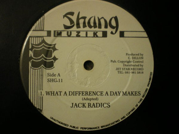 Jack Radics - What A Difference A Day Makes (12
