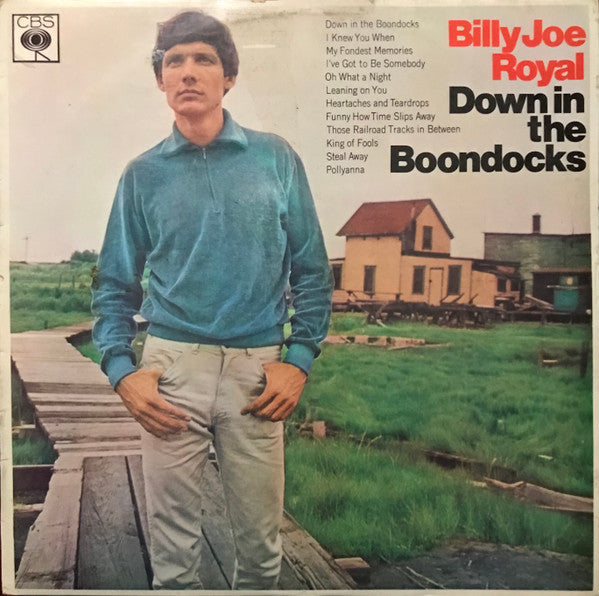 Billy Joe Royal - Down In The Boondocks (LP, Album, Mono)