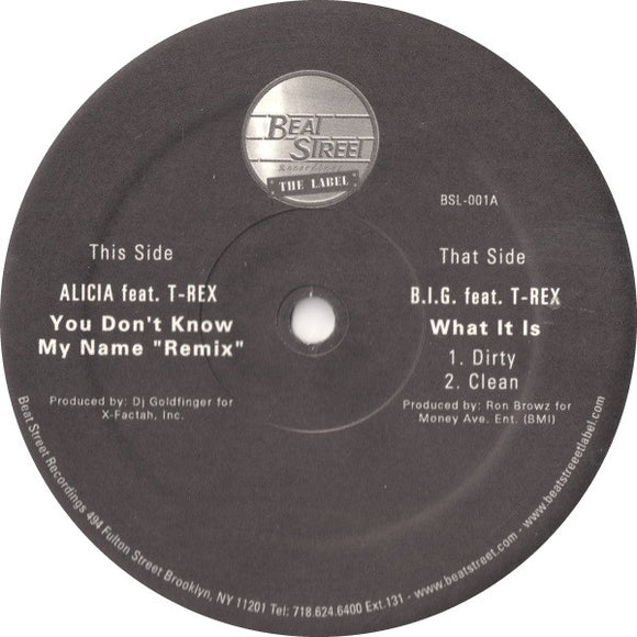 Alicia* Feat. T-Rex (4) / B.I.G.* Feat. T-Rex (4) - You Don't Know My Name 