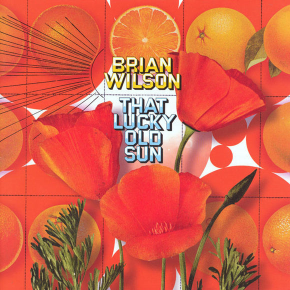 Brian Wilson - That Lucky Old Sun (CD, Album + DVD, NTSC)