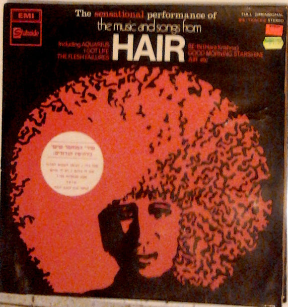 Geoff Love Featuring Dave Wintour And Pat Whitmore - The Music And Songs From Hair (LP, Album)