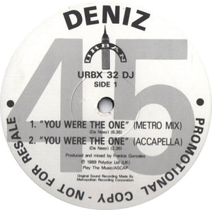 Deniz - You Were The One (12", Promo)