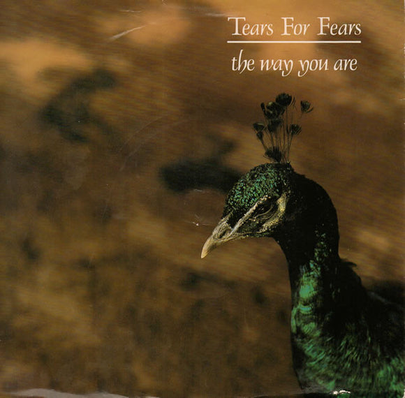 Tears For Fears - The Way You Are (7