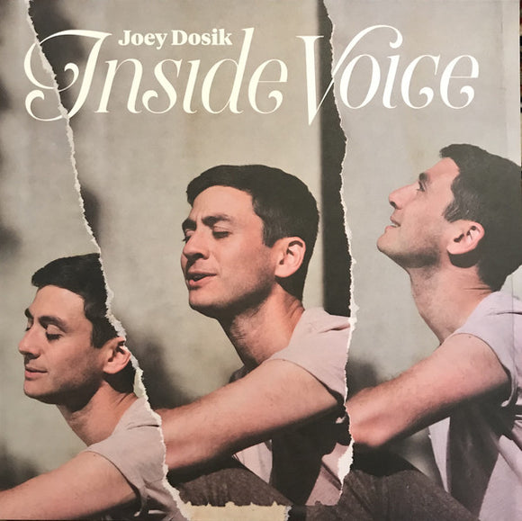 Joey Dosik - Inside Voice (LP, Album)