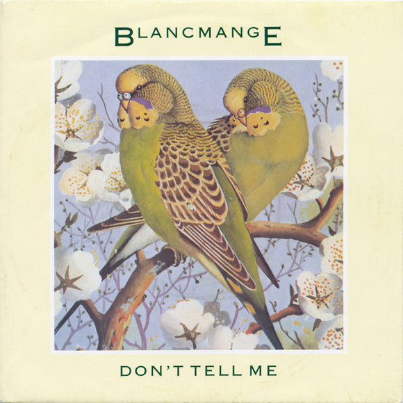 Blancmange - Don't Tell Me (7