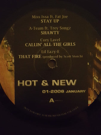 Various - Hot & New 01-2006 January (12", Unofficial)