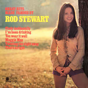Unknown Artist - Great Hits Made Famous By Rod Stewart (LP, Comp)