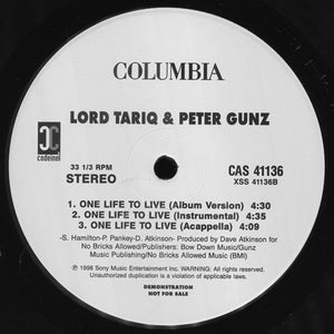 Lord Tariq & Peter Gunz - Startin' Somethin' (12", Promo)