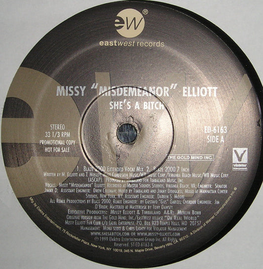 Missy Misdemeanor Elliott* - She's A Bitch (Blaze 2000 Remixes) (12", Promo)