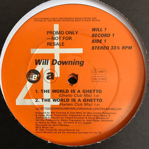 Will Downing - The World Is A Ghetto (2x12", Promo)