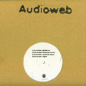 Audioweb - Into My World (12", Promo)