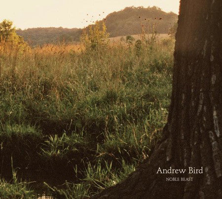 Andrew Bird - Noble Beast (CD, Album)