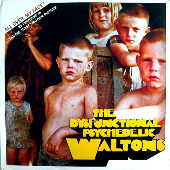 The Dysfunctional Psychedelic Waltons - All Over My Face (12