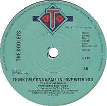 The Dooleys - Think I'm Gonna Fall In Love With You (7")