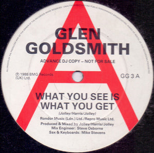 Glen Goldsmith - What You See Is What You Get (12", Promo)