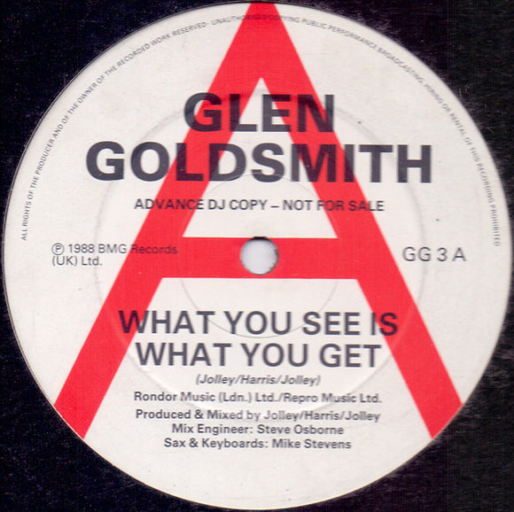 Glen Goldsmith - What You See Is What You Get (12