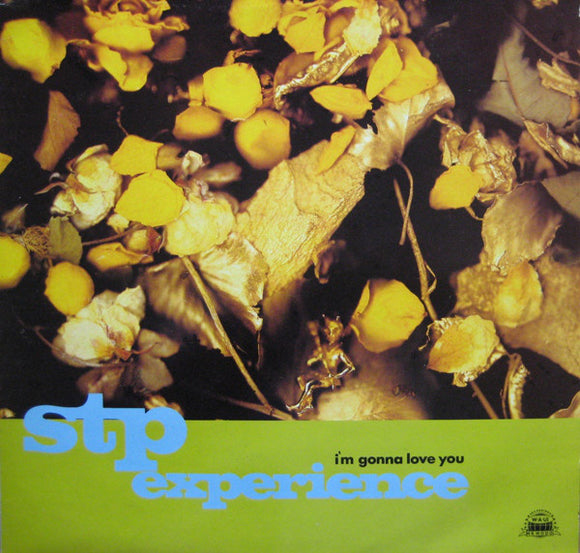 STP Experience* - I'm Gonna Love You (12