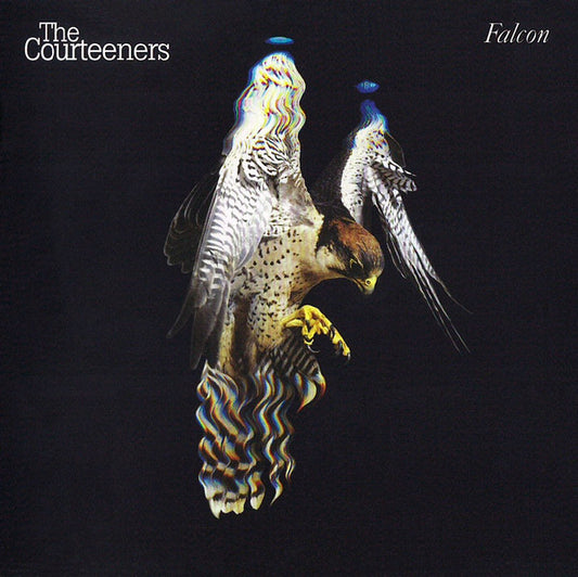 The Courteeners - Falcon (CD, Album)
